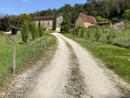 Séjour au cœur de la Dordogne avec piscine et terrasse - Photo 22
