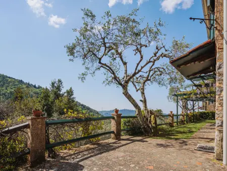 Il Glicine, Maison 4 personnes à Camaiore - Photo 22