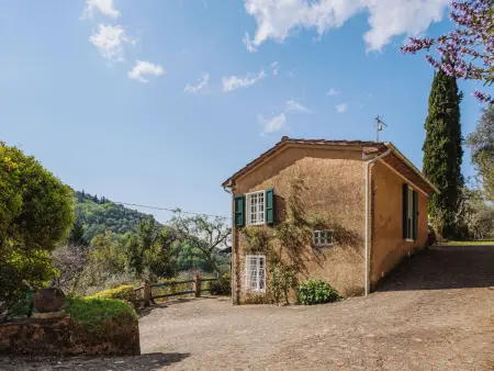 Il Glicine, Maison 4 personnes à Camaiore - Photo 23