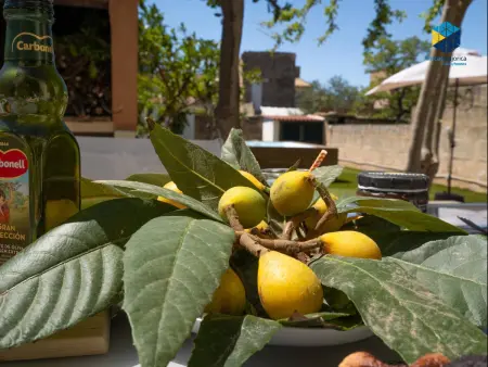 Maison de Vacances Rénovée avec Piscine Privée et Jardin à Llucmajor, Près de Palma - Photo 12