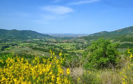 Maison 4 personnes à Castiglion Fiorentino - Photo 18
