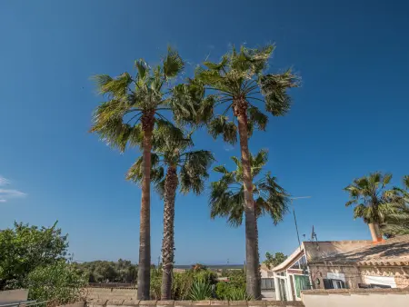 Mare, Maison 4 personnes à Ses Salines - Photo 23