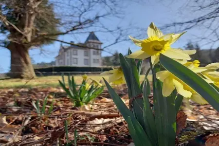 LA MAISON DU GARDIEN, Maison dans les Vosges près de la forêt - Photo 26