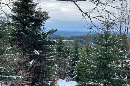 LA MAISON DU GARDIEN, Maison dans les Vosges près de la forêt - Photo 32