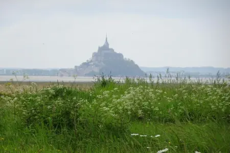 Holiday home in Saint Lô d'Ourville, Manoir à Cotentin avec charme historique - Photo 32