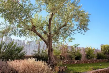 Ecoland Turismo Rural, Maison de vacances au Parc Guadiana - Photo 23