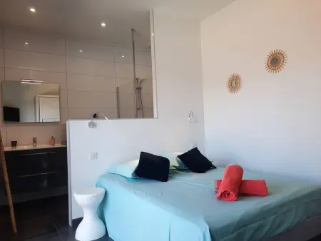 Villa spacieuse climatisée avec piscine privée chauffée, proche des plages - Photo 7