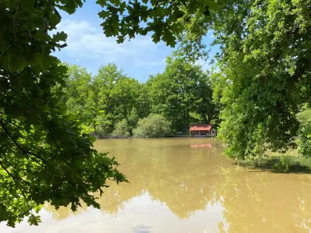 Gîte en Sologne au calme avec étang, proche d'Orléans et châteaux, idéal randonnées et pêche - Photo 34