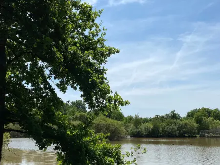 Gîte en Sologne au calme avec étang, proche d'Orléans et châteaux, idéal randonnées et pêche - Photo 35