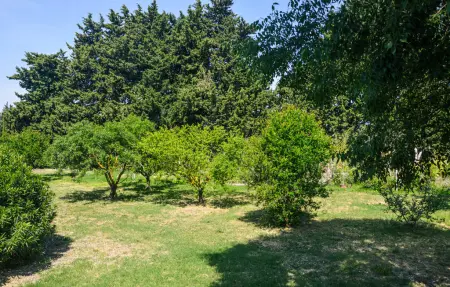 Maison 8 personnes à Lançon Provence - Photo 17