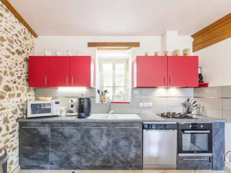 Charmante maison en pierre avec barbecue et jardin - Photo 5