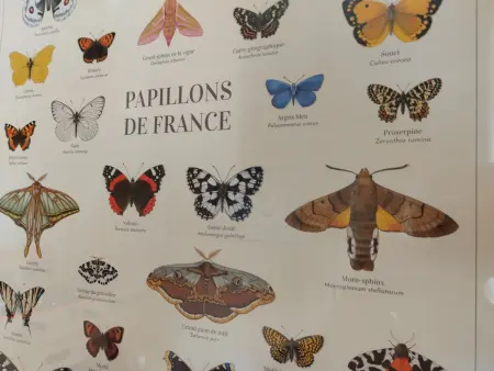 Gîte confortable en Auvergne proche de randonnées - Photo 17