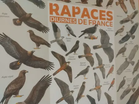 Gîte confortable en Auvergne proche de randonnées - Photo 18