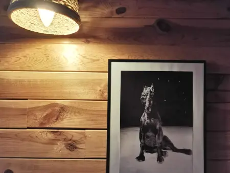 Gîte confortable en Auvergne proche de randonnées - Photo 33