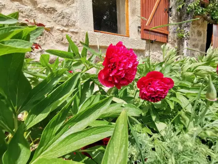 Gîte confortable en Auvergne proche de randonnées - Photo 34