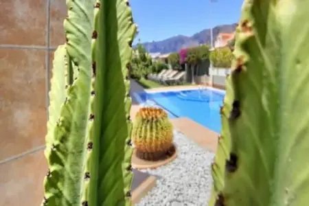 Home Holidays// Villa Home Holidays, Majestueuse maison de vacances avec piscine - Photo 12