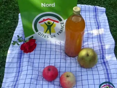 Gîte champêtre avec cuisine équipée, WIFI et grande cour privée - Photo 23