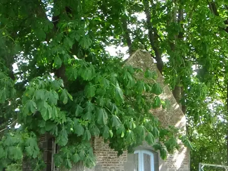 Gîte champêtre avec cuisine équipée, WIFI et grande cour privée - Photo 29