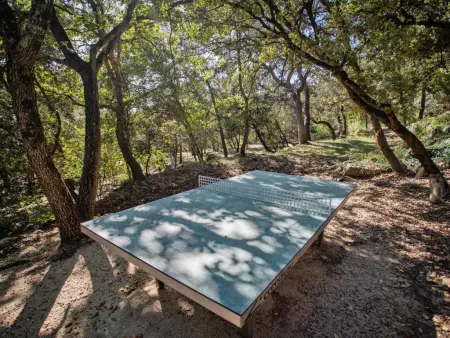 Tauleigne, Maison de campagne avec piscine privée - Photo 40