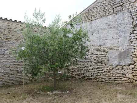 Superbe maison de maître au calme - 18 pers., Maison 15 personnes à Saint Georges d'Oléron - Photo 24