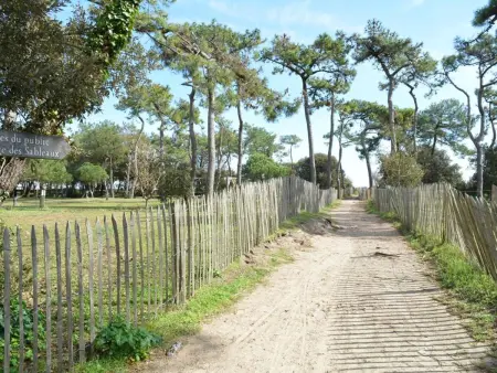 Maison familiale 10 pers, annexe, plage 250m, wifi, parking, jardin clos, terrasse avec pergola - Photo 28