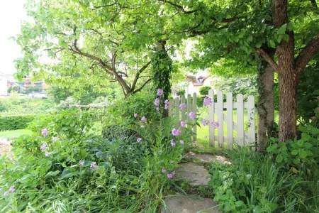 casetta delle rose, Maison de vacances pittoresque à Belluno avec jardin partagé - Photo 14