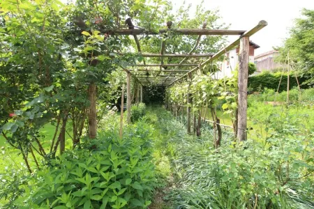 casetta delle rose, Maison de vacances pittoresque à Belluno avec jardin partagé - Photo 15