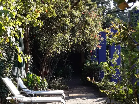 Maison de Charme avec Jardin, Piscine, BBQ et WIFI - Santa Brígida, Gran Canaria - Photo 21