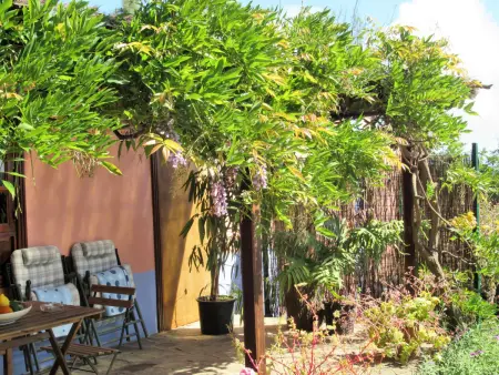 Maison de campagne avec jardin, piscine et sérénité à Santa Brígida, Gran Canaria - Photo 22