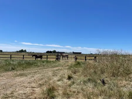 Maison climatisée, 2 gîtes, 2 chambres, 15 hectares, loisirs, animaux acceptés - Photo 17