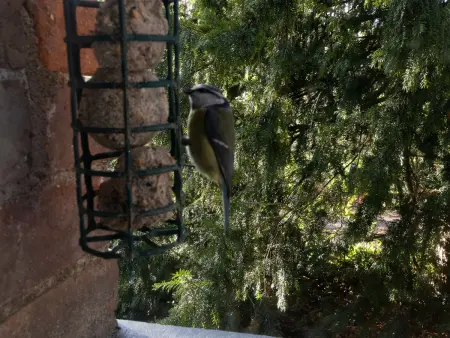 Charmante maison avec jardin clos près de la rivière Louet - Photo 27