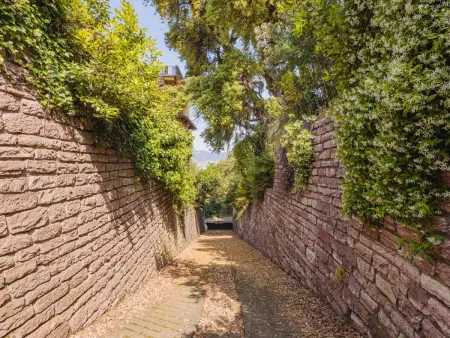 Villa Diana, Maison 7 personnes à La Spezia - Photo 25