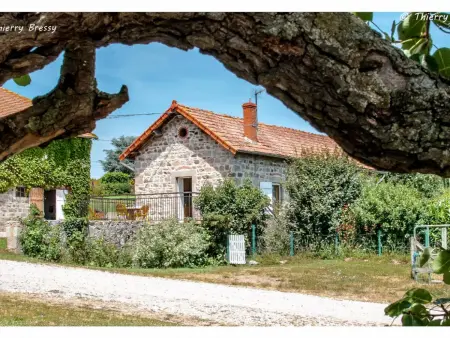 Gîte confortable avec piscine et animaux admis à Saint-André-d'Apchon - Photo 1