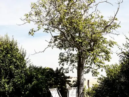 Gîte confortable avec piscine et animaux admis à Saint-André-d'Apchon - Photo 12
