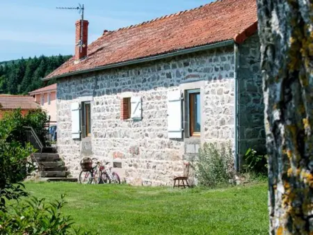 Gîte confortable avec piscine et animaux admis à Saint-André-d'Apchon - Photo 15