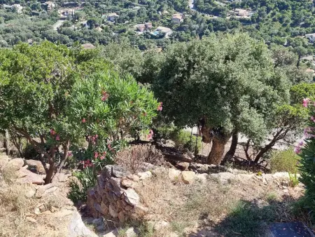 Les Terrasses de L'Eau Blanche, Maison 6 personnes à Cavalaire - Photo 21