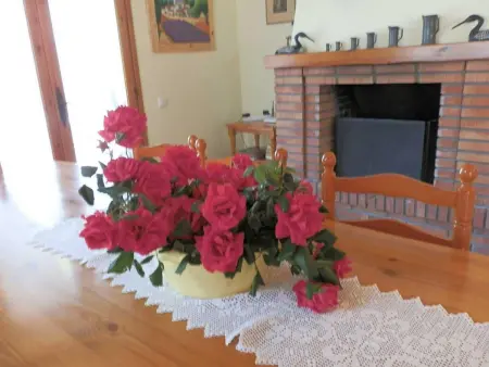 Maison avec piscine privée, près de la mer, climatisation optionnelle, Wi-Fi gratuit, animaux acceptés - Photo 13