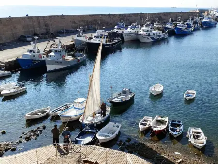 Maison de Vacances: Piscine Privée, Près de la Mer, Animaux Bienvenus, Plage pour Chiens - Photo 22