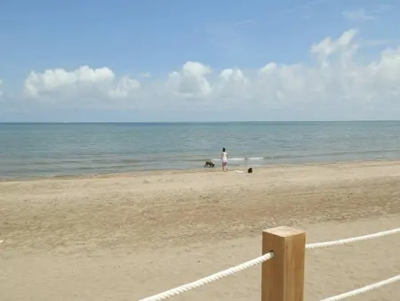 Maison de vacances près de la mer avec piscine privée, clim, wifi, animaux admis, plage pour chiens - Photo 20