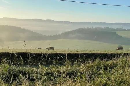 Le Courtil, Maison de vacances dans les Ardennes wallonnes - Photo 38