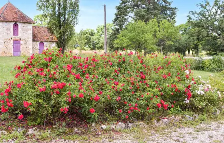 Maison 8 personnes à Mauvières - Photo 12