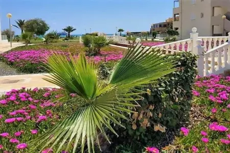 Natura World Duplex con patio privado 1d y 2b, Duplex dans le quartier Urb Naturista près de la plage et de la piscine - Photo 35