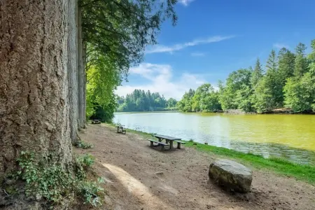 GITE DE L'ARBORETUM, Gîte au cœur de la Saône et Loire - Photo 33