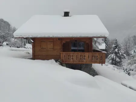 Chalet moderne avec jacuzzi, animaux admis, Morillon - Photo 22