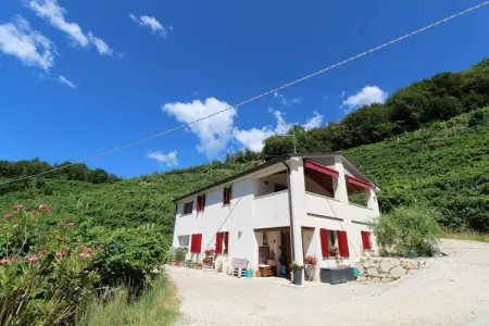 Riva dei Tor, Maison à Veneto avec vignobles de Prosecco - Photo 6