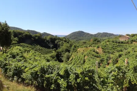 Riva dei Tor, Maison à Veneto avec vignobles de Prosecco - Photo 27