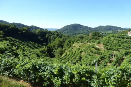 Riva dei Tor, Maison à Veneto avec vignobles de Prosecco - Photo 29