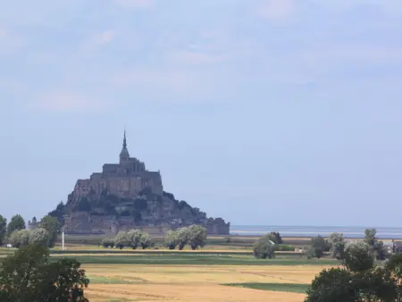 Maison de charme avec spa et jardin privé à Ardevon - Photo 4