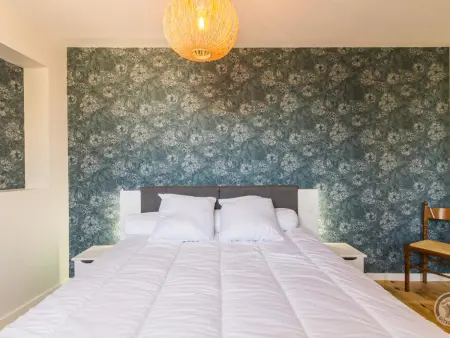 Maison de charme avec spa et jardin privé à Ardevon - Photo 13