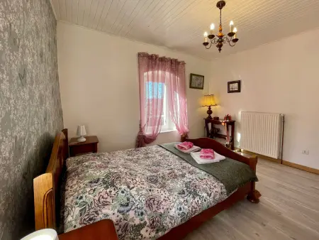 Gîte chaleureux avec cheminée près du Puy-en-Velay, idéal pour familles et séjours professionnels - Photo 9
